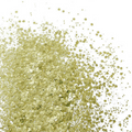 All That Glitters Glitter Balm - Glitterazzi Biodegradable Eco-Friendly Glitter